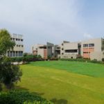 Marwadi University